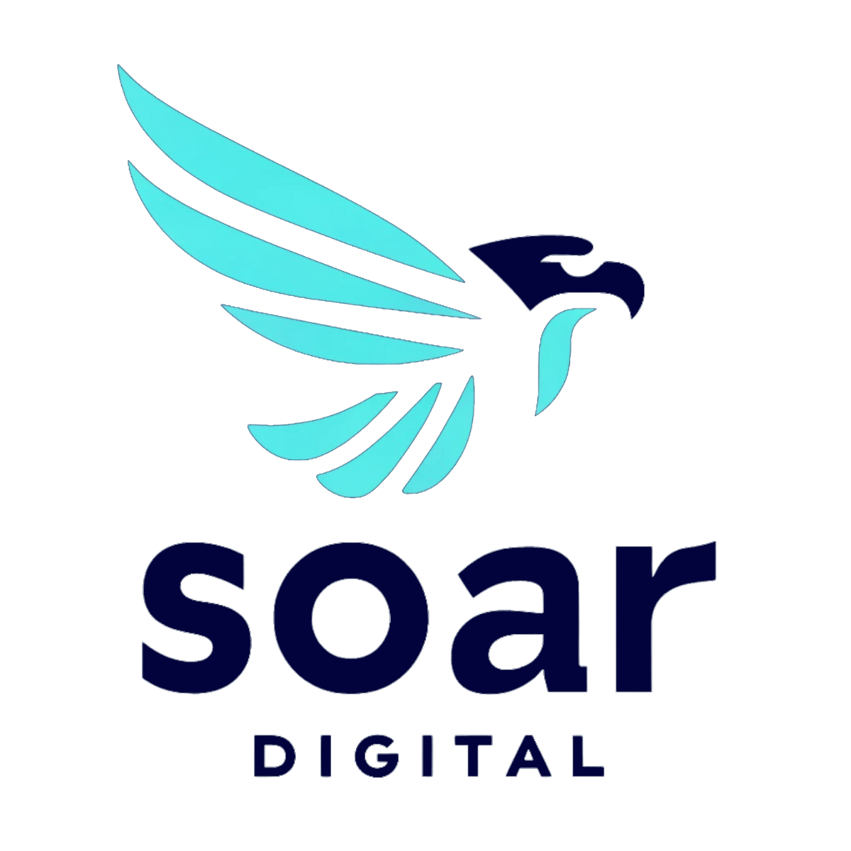 Soar Digital Solutions
